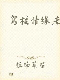 驾校情缘老赵封面
