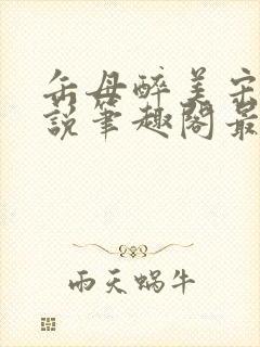 缶母醉美宋城小说笔趣阁最新章节更