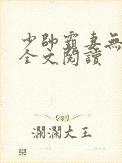 少帅霸妻无删减全文阅读