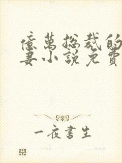 亿万总裁的隐婚妻小说免费阅读