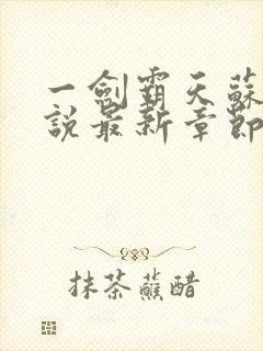 一剑霸天苏信小说最新章节封面
