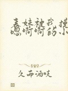 表妹被我摸的嗯嗯啊啊的小说封面