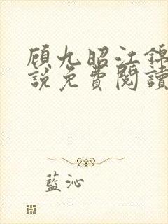 顾九昭江锦禾小说免费阅读最新章节封面