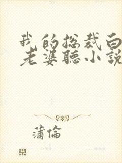 我的总裁白富美老婆听小说封面
