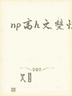 np高h文双性封面