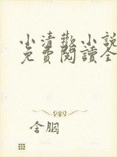 小清欢小说全文免费阅读全文封面