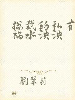 总裁的私有宝贝祸水泱泱