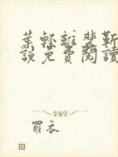 叶轻离裴靳墨小说免费阅读无弹窗