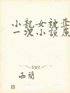 小龙女被夺走第一次小说原文在线阅封面