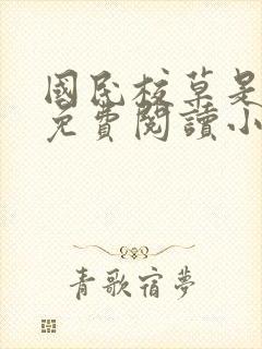 国民校草是女生免费阅读小说