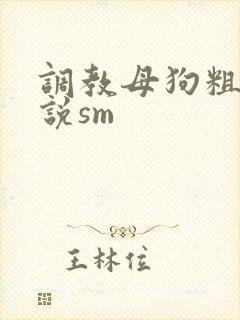 调教母狗粗口小说sm