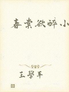 春棠欲醉小说