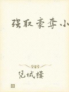 强取豪夺小说封面