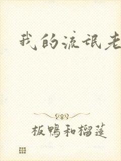 我的流氓老师封面