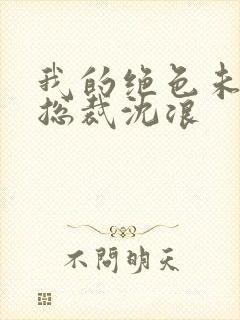 我的绝色未婚妻总裁沈浪