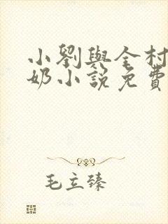 小刘与全村老奶奶小说免费阅读
