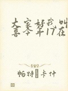 大家好我叫林小喜今年17在线阅读封面
