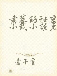 黄蓉的秘密大武小武小说免费阅读全文