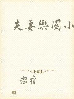 夫妻乐园小说