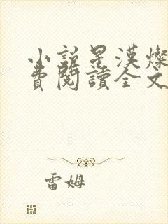 小说星汉灿烂免费阅读全文封面
