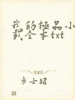 我的极品小姨下载全本txt