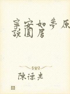 宁安如梦原著小说圆房