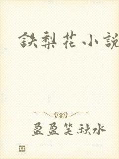 铁梨花小说