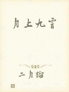 月上九霄封面