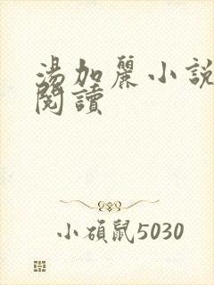汤加丽小说免费阅读
