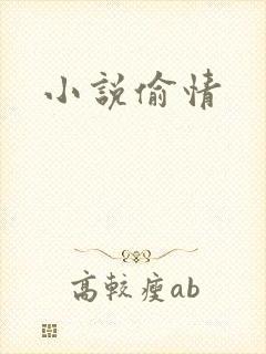 小说偷情
