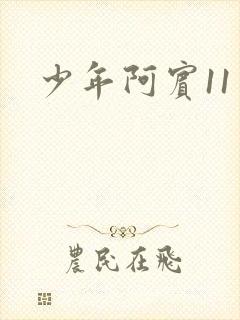 少年阿宾11封面