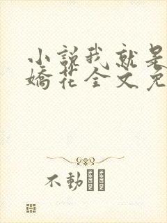 小说我就是如此娇花全文免费阅读