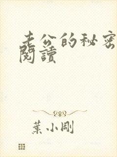 老公的秘密全文阅读封面