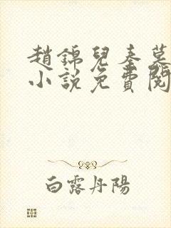 赵锦儿秦慕修的小说免费阅读全文