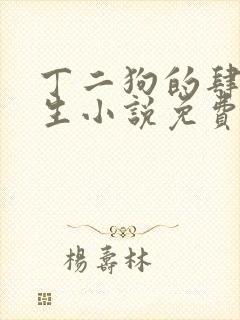 丁二狗的肆意人生小说免费阅读