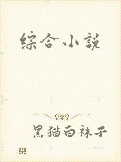 综合小说
