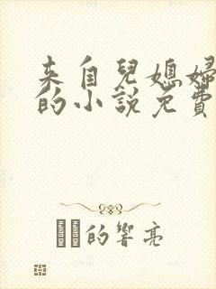 来自儿媳妇的爱的小说免费阅读全文封面