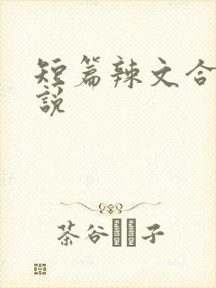 短篇辣文合集小说封面