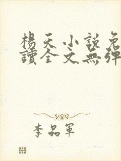 杨天小说免费阅读全文无弹窗