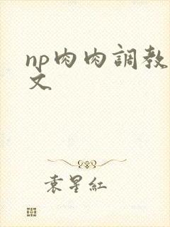 np肉肉调教辣文
