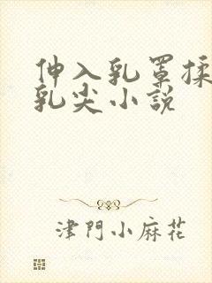伸入乳罩揉她的乳尖小说