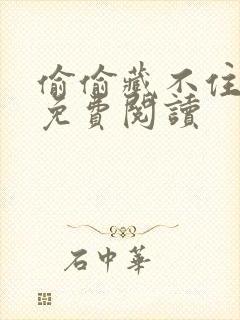 偷偷藏不住完本免费阅读