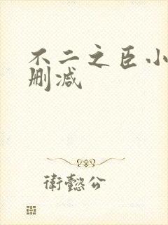 不二之臣小说无删减
