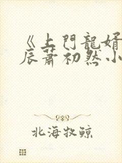 《上门龙婿》叶辰萧初然小说