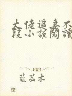 大佬追妻不择手段小说阅读无弹窗封面