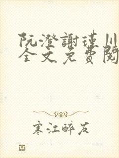 阮澄谢瑾川小说全文免费阅读封面