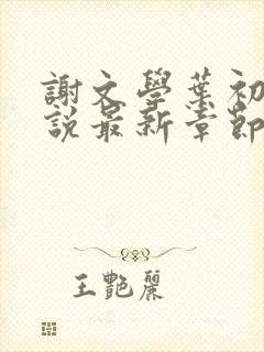 谢文学叶初瑗小说最新章节免费阅读封面