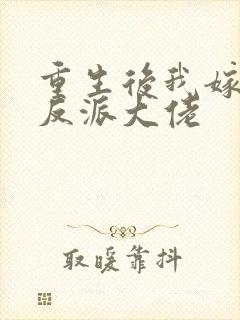 重生后我嫁给了反派大佬