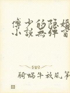 傅少的隐婚娇妻小说无弹窗