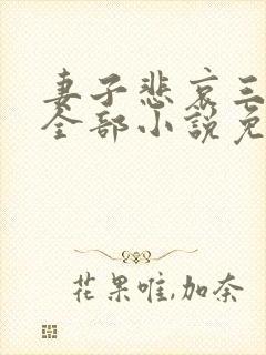 妻子悲哀三部曲全部小说免费阅读